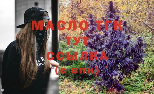 молекула духа Нягань