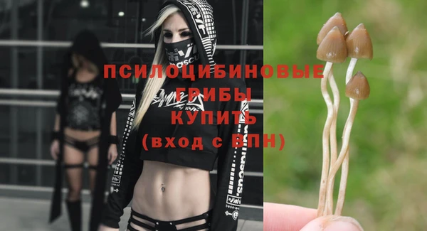 молекула духа Нягань