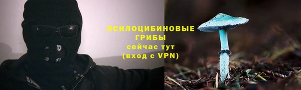 молекула духа Нягань