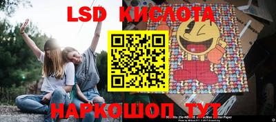 PSILOCYBIN Бугуруслан