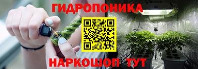 соль ск Будённовск