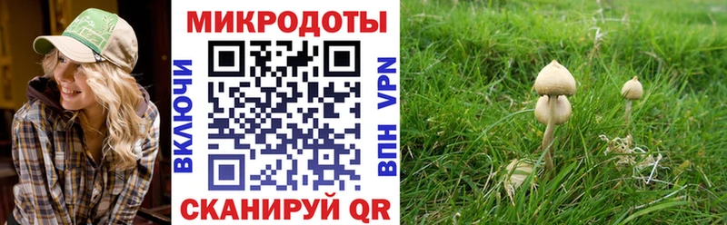 Галлюциногенные грибы MAGIC MUSHROOMS блэк спрут ссылки Ливны