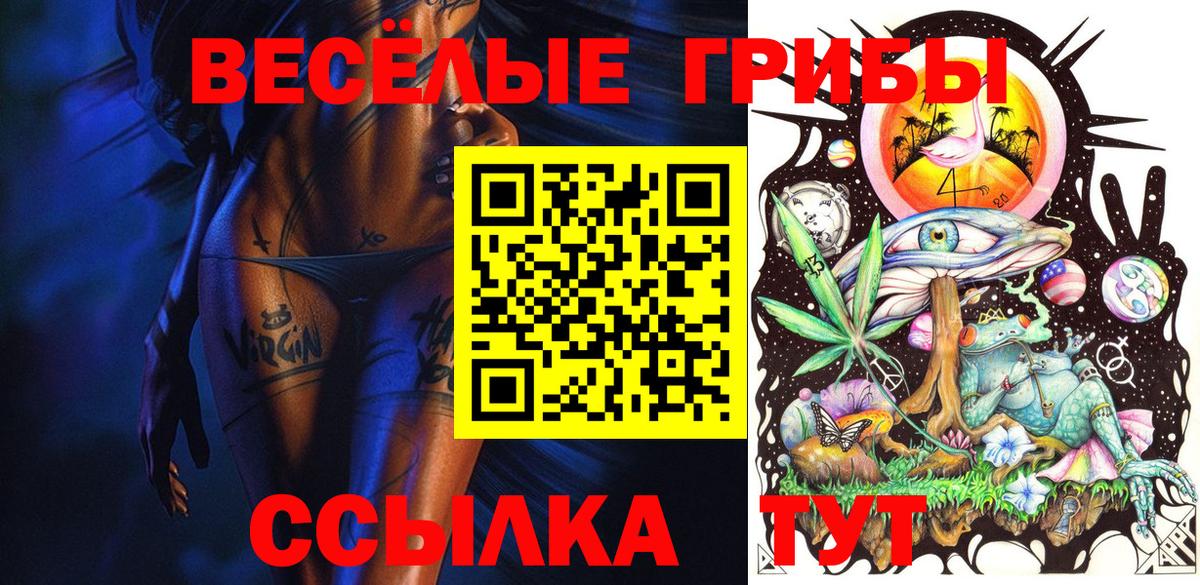 Псилоцибиновые грибы мицелий Ливны